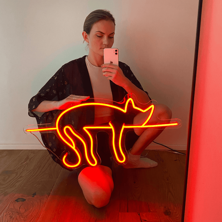 LED neonová kočka v červené barvě